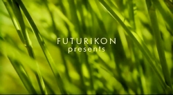 خیلی خیلی کوچک (2) (مگس کش)